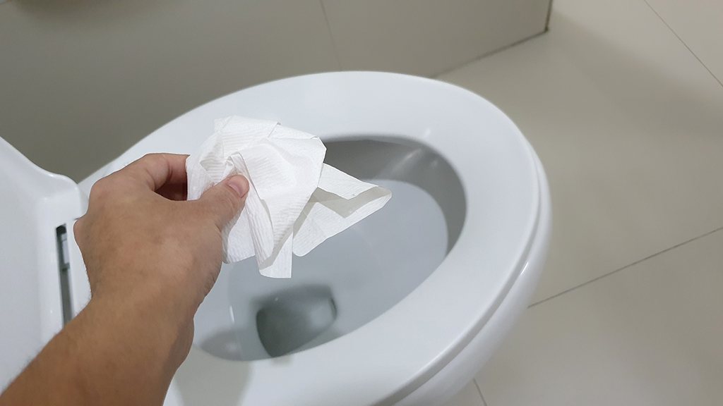 Avoid the Least Appealing Drain Cleaning Task: Toilet Unblocking | New Orleans, LA