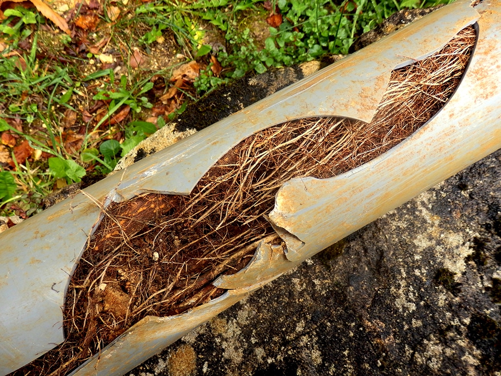 Plumbing Service: Five Top Sewer Pipe Problems Explained | Timberlane, LA