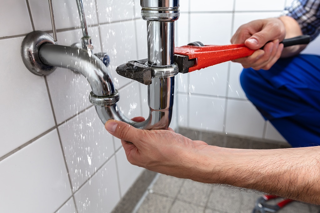 bluefrog Plumbing: Your Reliable Emergency Plumber | Harvey, LA