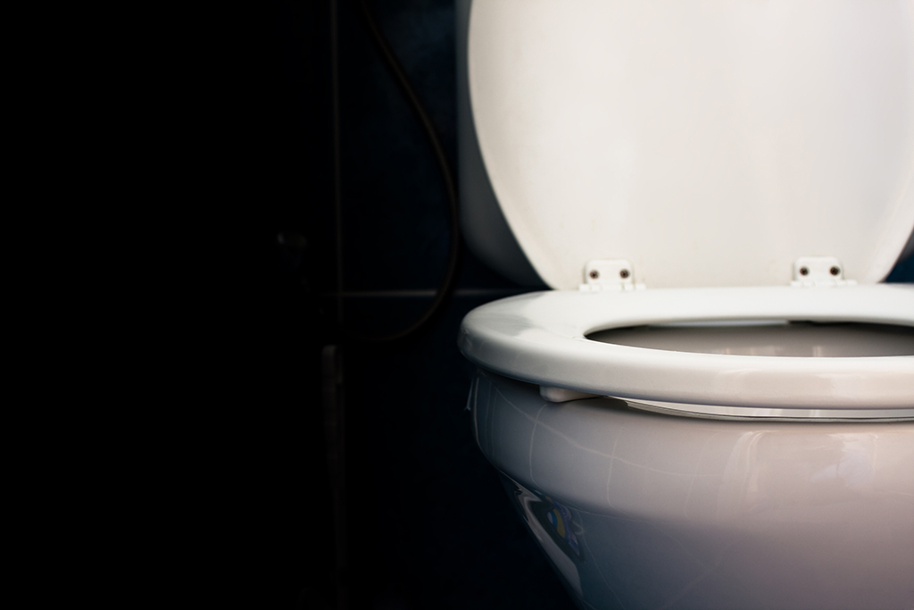 How Your bluefrog Plumbing + Drain Plumber Can Help Repair A Broken Toilet | Harvey, LA