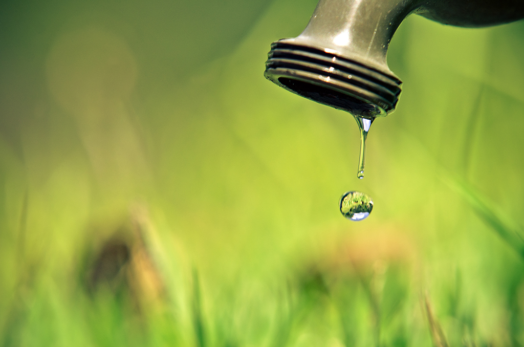 Plumber Tips: 5 Garden Related Plumbing Issues Increasing Your Water Bill And How To Save | New Orleans, LA