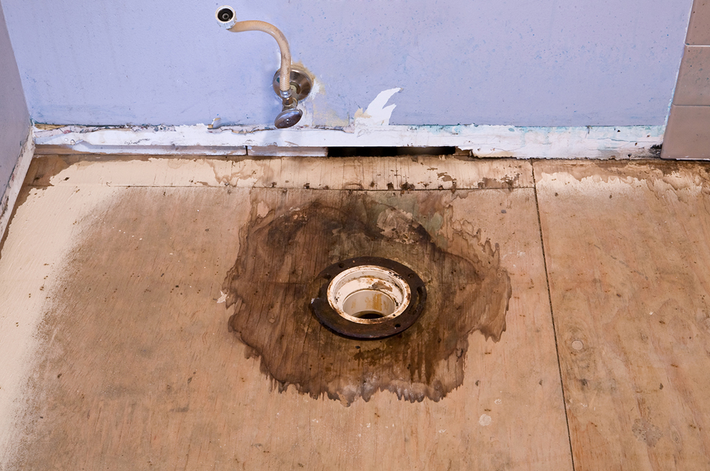 Familiar Plumbing Problems – And Which Ones You Need An Emergency Plumber To Overcome | Timberlane, LA