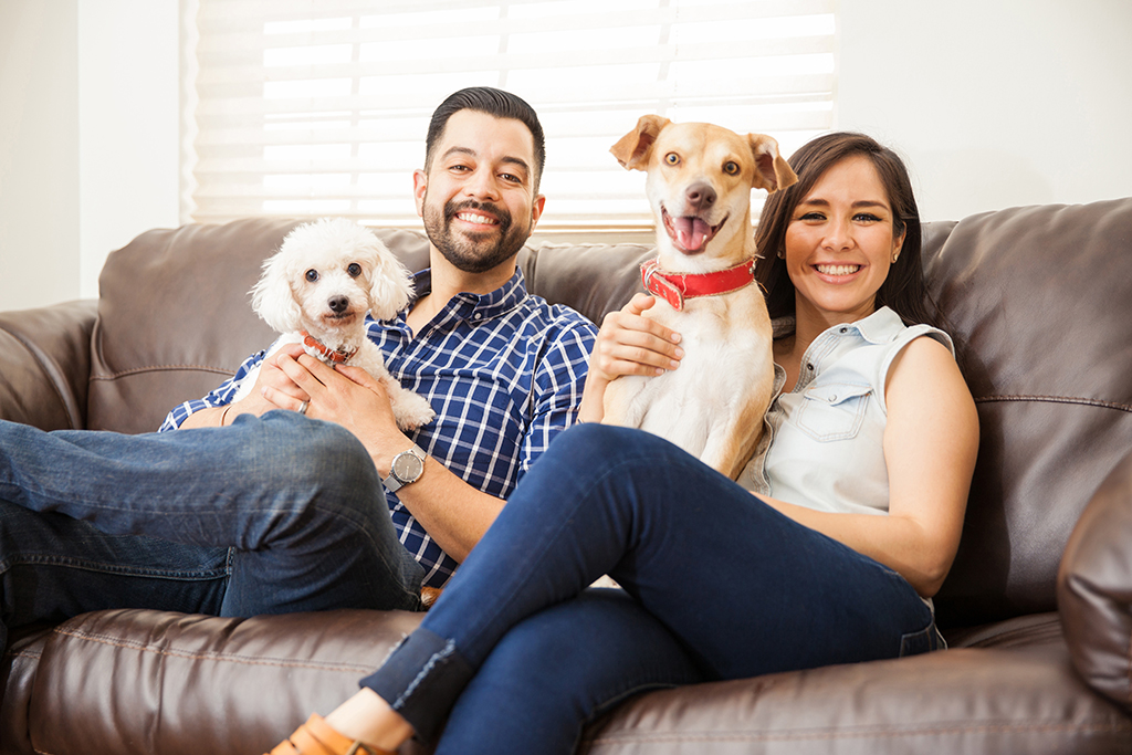 Do Pets Necessitate More Heating And AC Repair Services? | New Orleans, LA
