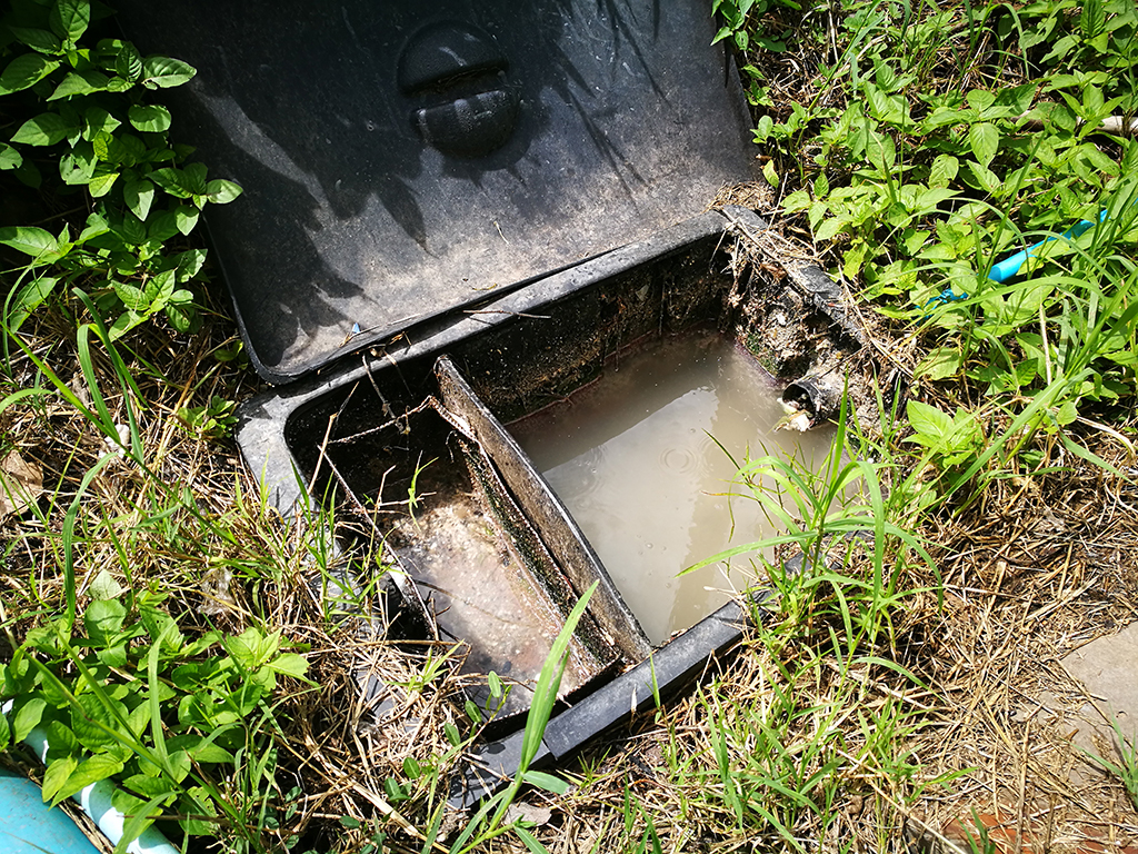 Signs Your Septic System Needs The Attention Of A Plumber | New Orleans, LA