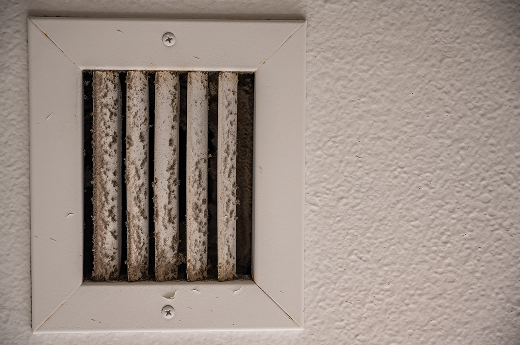 Preventing Mold In Your Home Can Be As Easy As Scheduling A Duct Cleaning Service | Timberlane, LA