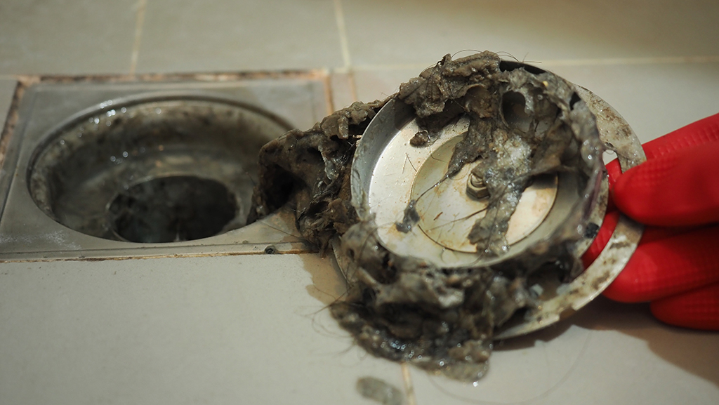 Drain Cleaning Service: The Worst Problems Associated With Dirty Drains | New Orleans, LA