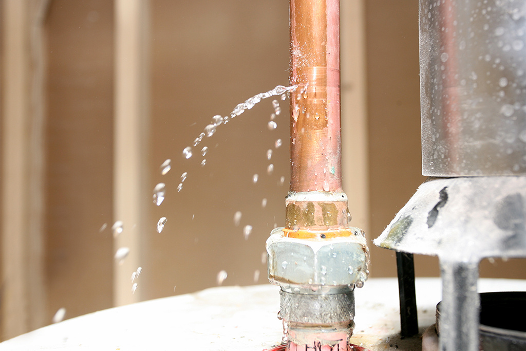 How Can An Emergency Plumber Help Maintain Your Plumbing? | Timberlane, LA
